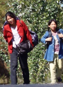 在线观看中文字幕一区